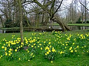 A Van Bergen IJzendoornpark