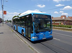 93-as busz az Üllői úton