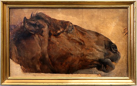 Study of a horse (Head seen from the side without harness) label QS:Len,"Study of a horse (Head seen from the side without harness)" 1848