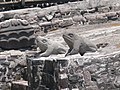 Templo Mayor in Mexico-Stad. Altaar van de padden (1470), een symbool voor water.