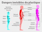 Thumbnail for File:Dangers hormonaux du contact quotidien avec le plastique.png