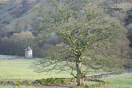 Dovecote by Swainsley Hall in the Manifold Valley - geograph.org.uk - 2243785.jpg