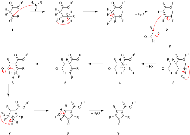 Mechanism for the Hantzsch Pyrrole Synthesis