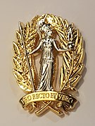 Insigne-brevet militaire titulaire du diplôme de docteur 004.jpg