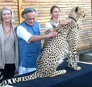 Netoli Keiptauno esančiame gepardų konservavimo centre, aptariant gepardų reintrodukavimą Indijoje