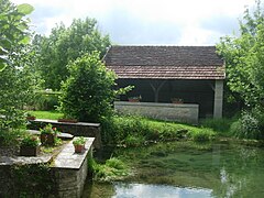 Lavoir et ruines du moulin sur La Maze, un affluent de l'Aube.