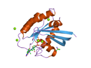 2cl0: CRYSTAL STRUCTURE ANALYSIS OF A FLUORESCENT FORM OF H-RAS P21 IN COMPLEX WITH GPPNHP