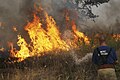 Image 42A Russian firefighter extinguishing a wildfire (from Wildfire)