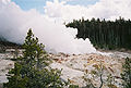 Steamboat Geyser in Yellowstone National Park, Wyoming