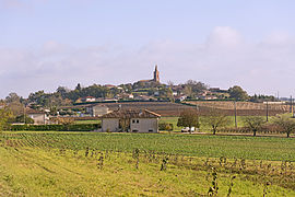 Vacquiers Haute-Garonne, France. West exposure