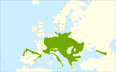 Rozšíření: : původní výskyt ✖ Izolované populace. :▲Introdukce a naturalizace (synantropie).