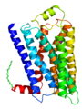 アドレナリンβ2受容体の構造（カラゾロールとの複合体）