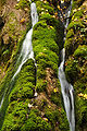 24.5.09 Gütersteiner Wasserfall