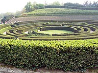La vegetala labirinto