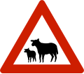 Animals (sheep) Warns that sheep often traverse or travel on the roads.