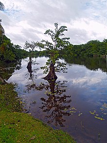 Punta Izopo National Park