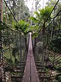 Shah Alam National Botanical Park, the hanging bridge