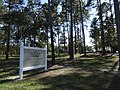 Sugar Creek Plantation, Talmadge Home