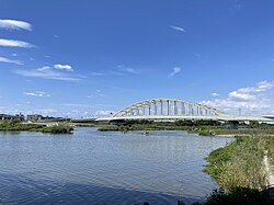 Tamasuidō-bashi, Tama a Tamagawa ikada race