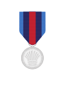 Border Operations Medal