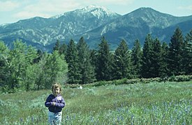 Burke Park during June 1993 (4134054834).jpg