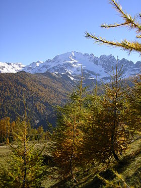 Vue de la Cima Piazzi.