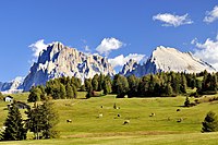 vùng Seiser Alm (tiếng Ý: Alpe di Siusi), vùng lãnh nguyên núi cao Dolomites, Nam Tirol