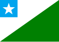 Bandeira de Elísio Medrado