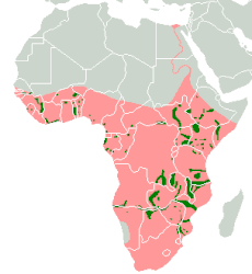 Bản đồ về chi Hà mã. Màu đỏ là vùng các hà mã đã tuyệt chủng, màu xanh là nơi chúng còn sống sót (H. amphibius)[1]