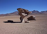 Roca a l'Altiplano de Bolívia (Wilken, 2002)