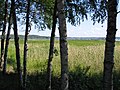 Kortejärvi-See in Urjala