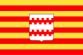 Vlag van Neerpelt