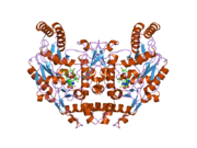 2g6j: Structure of rat nNOS (L337N) heme domain (4-aminobiopterin bound) complexed with NO