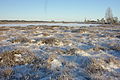 Ein gefrorenes Moor im Winter 2009, Soomaa Nationalpark