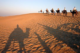 Thar Desert forms a natural boundary between India and Pakistan