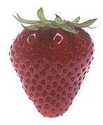 A strawberry with achene.jpg