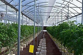 Ascension Island’s hydroponics lab is revitalizing life on the volcanic island (190807-F-AO460-1003).jpg