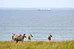 Thumbnail for File:Cargo ship and african wildlife.jpg