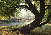 Uno de los puentes del parque; no hay dos iguales.