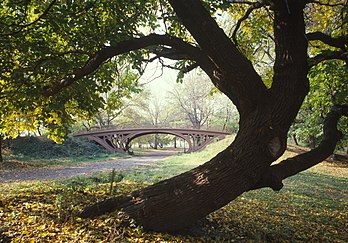 Un pont dans Central Park à New York (États-Unis). (définition réelle 4 648 × 3 248)