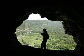 Cueva Ventana in Puerto Rico.jpg