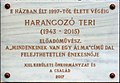 Harangozó Teri