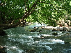 Hasbani River