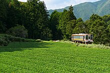 名松線の伊勢鎌倉 - 伊勢竹原間の茶畑脇を走行するキハ11形300番台普通列車