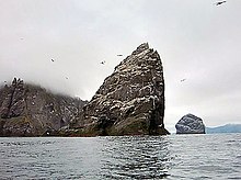Grand rocher de forme triangulaire au milieu de l'eau, avec d'autres îles derrière et des fous de bassans le survolant.