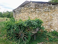 Vieille calèche entourée de vignes.jpg