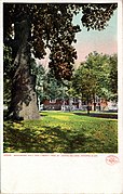 Woodware Hall and Liberty tree, St John's College (NBY 3097).jpg