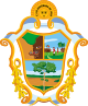 Brasão de armas de Manaus