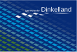 Vlag van de gemeente Dinkelland