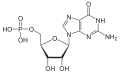 Deutsch: Struktur von Guanosinmonophosphat English: Structure of Guanosine monophosphate